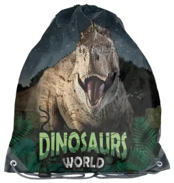 worek-szkolny-na-buty-dla-chlopca-dinozaur