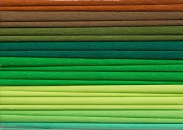 bibula-marszczona-happy-color-kolorowa-zielona-10-sztuk