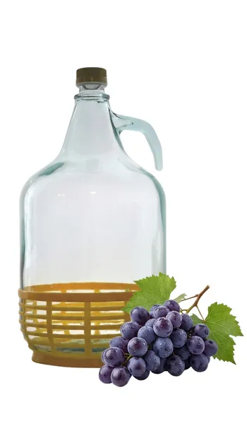 Gąsior DAMA 5L w koszyku