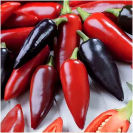 Zdjęcie produktu PAPRYKA OSTRA ATZECO CHILI CZERWONO - CZARNE OWOCE nasiona 0,2g