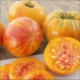 pomidor-gruntowy-wysoki-ananas-03g