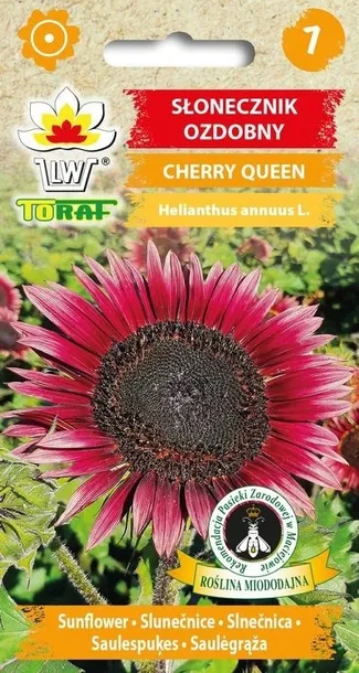 slonecznik-ozdobny-cherry-queen-cechy-charakterystyczne-lubiace-slonce-proste-w-pielegnacji-przyjazne-dla-zwierzat