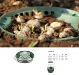 koszyk-na-cebule-prosperplast-onion-2-sr-215cm-zielony-marka-prosperplast