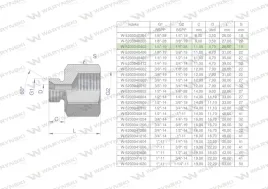 tulejka-roznicowa-hydrauliczna-calowa-ab-1-4-gz-x-1-8-gw-bsp-warynski-spr