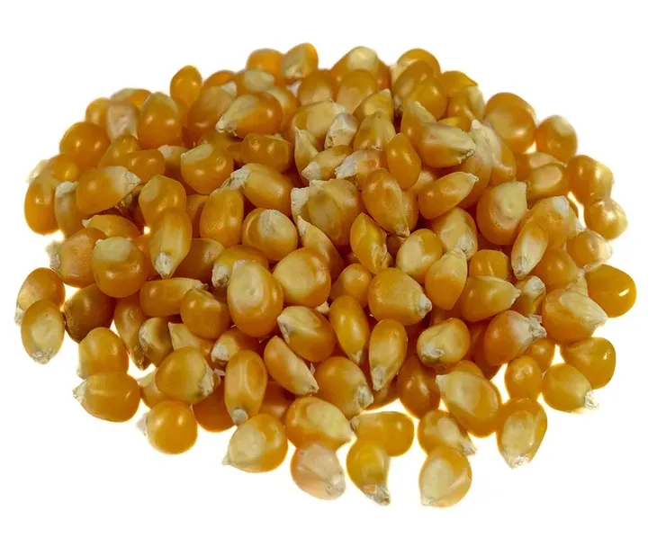 popcorn-ziarno-100g-targroch-rodzaj-ziarno-do-prazenia
