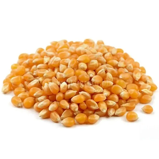 popcorn-ziarno-100g-targroch-waga-100-g