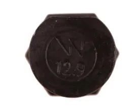 sruba-kpl-pluzna-oval-z-jednej-strony-scieta-m16x80-mm-kl-12-9-zastosowani
