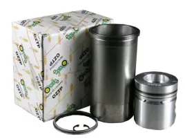 zestaw-naprawczy-silnika-sworzen-fi-36mm-3139591r96-case-ihc-rm-3218759r95