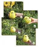 oranzada-herbata-yerba-mate-green-frutas-200g-certyfikat-certyfikat-produkcji-ekologicznej-ue