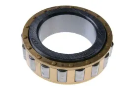 zlozenie-lozysko-igielkowe-plc-c-385-86121901-88121901