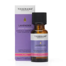 lavender-ethically-harvested-olejek-lawendowy-20-ml