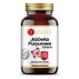 jezowka-purpurowa-echinacea-60-kaps