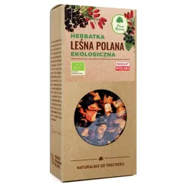 herbatka-lesna-polana-bio-100g-dary-natury