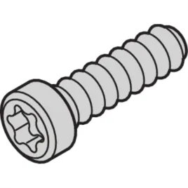 schroff-sruba-z-lbem-walcowym-torx-samoblokujaca-m25-x-93