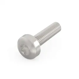 schroff-sruba-z-lbem-walcowym-torx-stal-niklowana-m25-x-12-mm