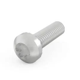 sruba-z-lbem-walcowym-schroff-torx-m4-x-14-100-szt