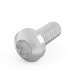 sruba-z-lbem-walcowym-schroff-torx-m4-x-10-100-szt