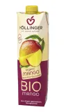 nektar-z-mango-bio-1-l-hollinger