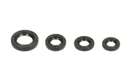 komplet-uszczelniaczy-silnika-power-force-gy6-50cc-4t-4szt