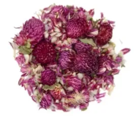 gomfrena-kwiat-wiecznik-kulisty-planteon-50g