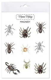 magnesy-pajeczaki