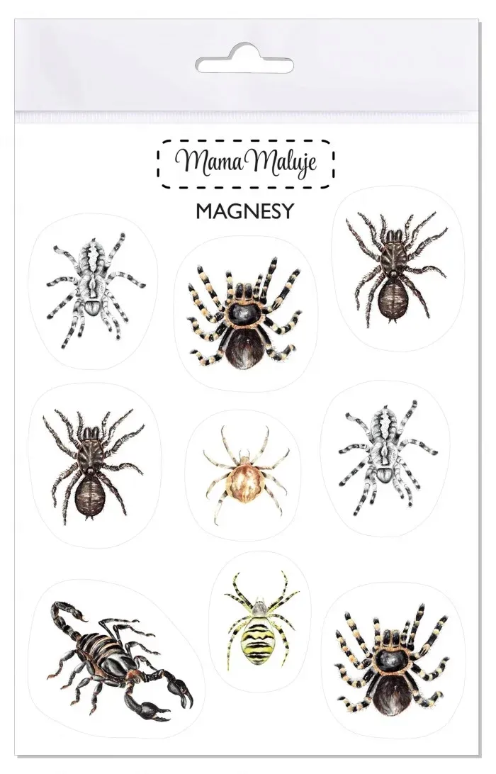 magnesy-pajeczaki-stan-nowy