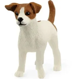 jack-russell-terrier-slh13916