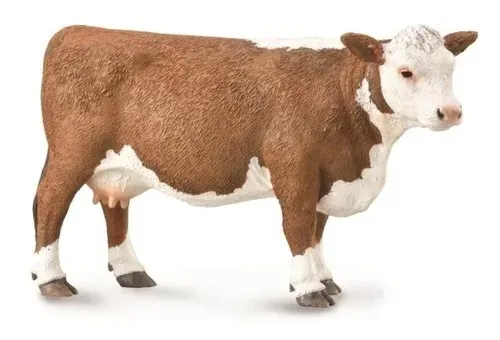 krowa-hereford-004-88860-stan-nowy