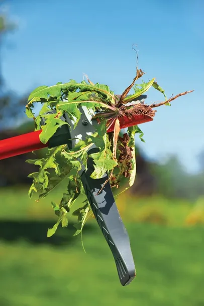 wolf-garten-kultywator-be-m-kod-producenta-71aaa003650