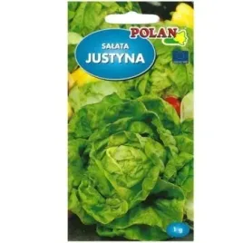 salata-glowiasta-maslowa-gruntowa-justyna