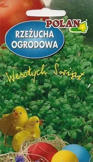 rzezucha-cykl-rozwojowy-rosliny-jednoroczna