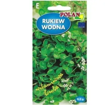 rukiew-wodna