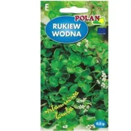 rukiew-wodna