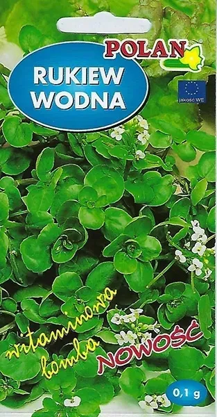 rukiew-wodna-cykl-rozwojowy-rosliny-jednoroczna