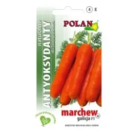 marchew-jadalna-galicja-mieszaniec