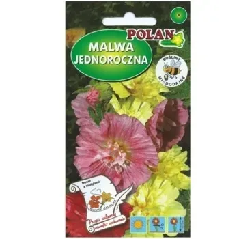 malwa-ogrodowa-majorette