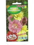 malwa-ogrodowa-majorette-rodzaj-rosliny-mieszanka-roslin