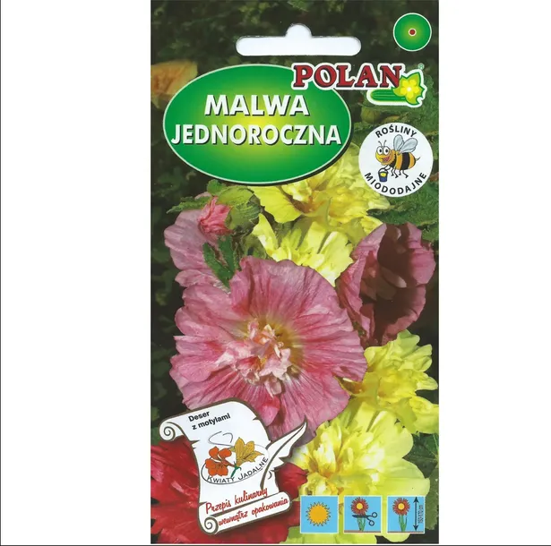 malwa-ogrodowa-majorette-odmiana-malwa-czarna