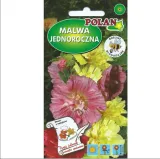 malwa-ogrodowa-majorette-odmiana-malwa-czarna