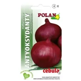cebula-czerwona