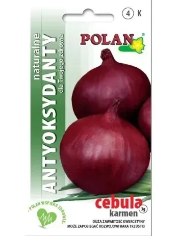 cebula-czerwona-rodzaj-rosliny-cebula