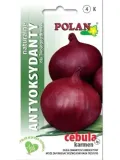 cebula-czerwona-rodzaj-rosliny-cebula