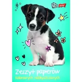unipap-zeszyt-papierow-kolorowych-nablyszczany-a5-10-kartek