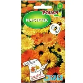 nagietek-lekarski-wysoki-mieszanka