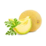melon-jaune-canari-2-styl-ogrod-japonski-ogrod-nowoczesny-ogrod-skalny-ogrod-srodziemnomorski-ogrod-wiejski