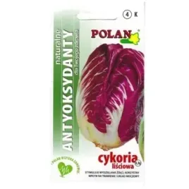 cykoria-lisciowa-palla-rossa