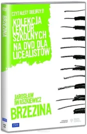 brzezina-andrzej-wajda-film-dvd-telewizja-polska-s-a
