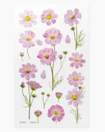 appree-naklejki-dekoracyjne-kwiaty-aster-pet-150x94-mm