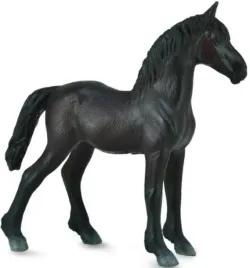 zrebie-friesian-foal-czarne