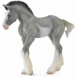 zrebie-clydesdale-foal-blue-roan